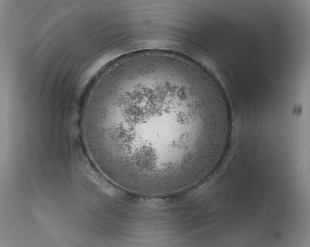 X0000111941019200907271408