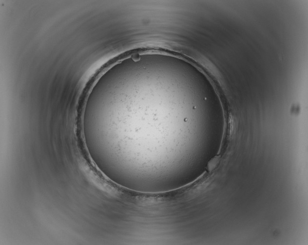 X0000111941020200907271408