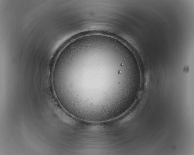 X0000111941021200907271408