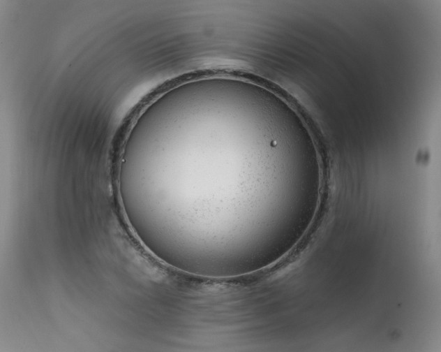 X0000111941022200907271408