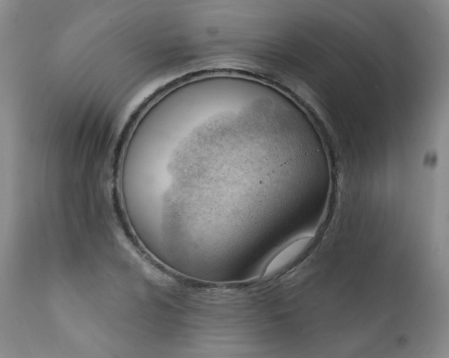 X0000111941024200907271408