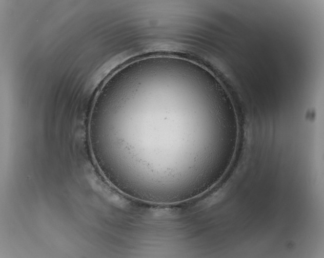 X0000111941025200907271408