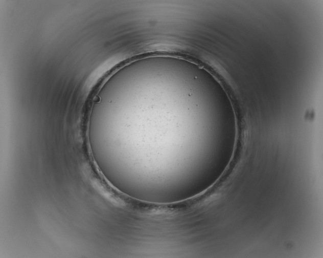 X0000111941026200907271408