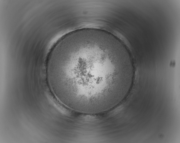 X0000111941027200907271408