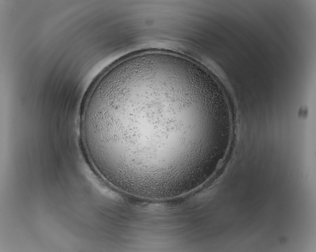 X0000111941028200907271408