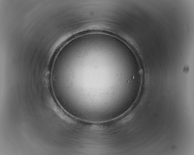 X0000111941029200907271408