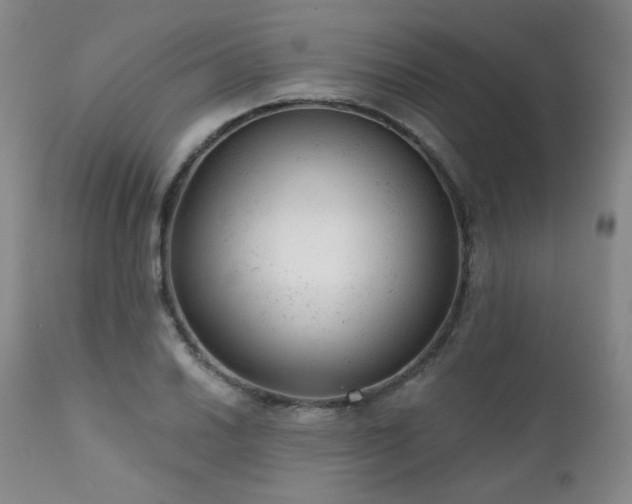 X0000111941030200907271408