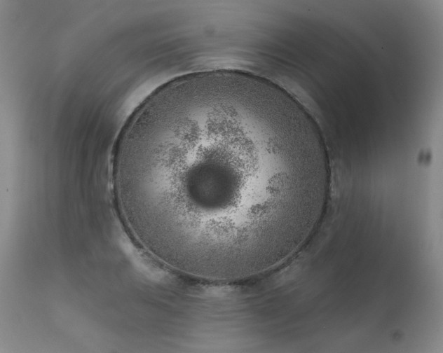 X0000111941031200907271408