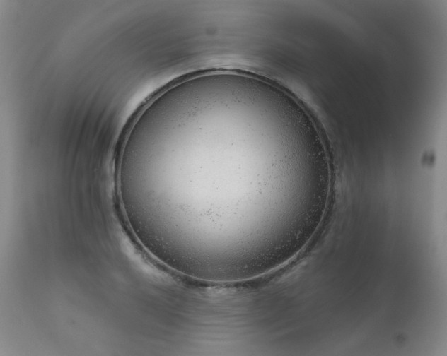 X0000111941032200907271408