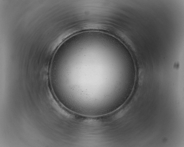 X0000111941033200907271408