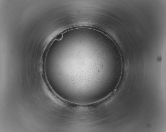 X0000111941034200907271408