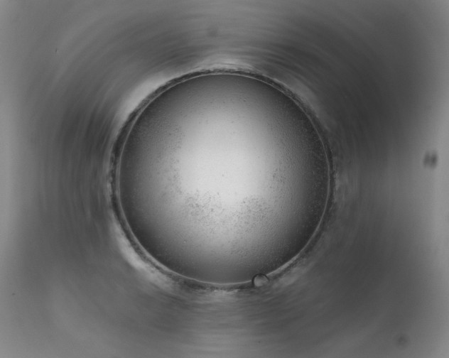 X0000111941038200907271408