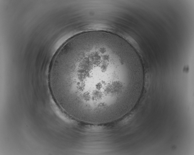 X0000111941039200907271408