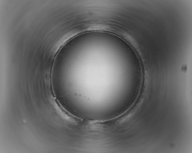 X0000111941041200907271408