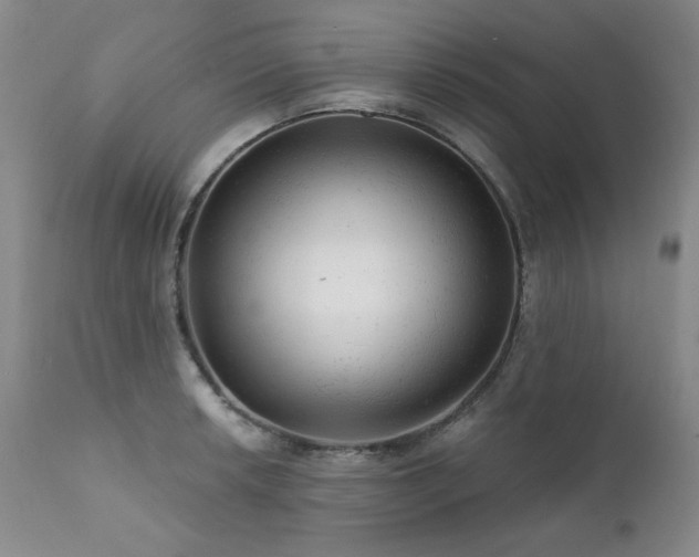 X0000111941042200907271408