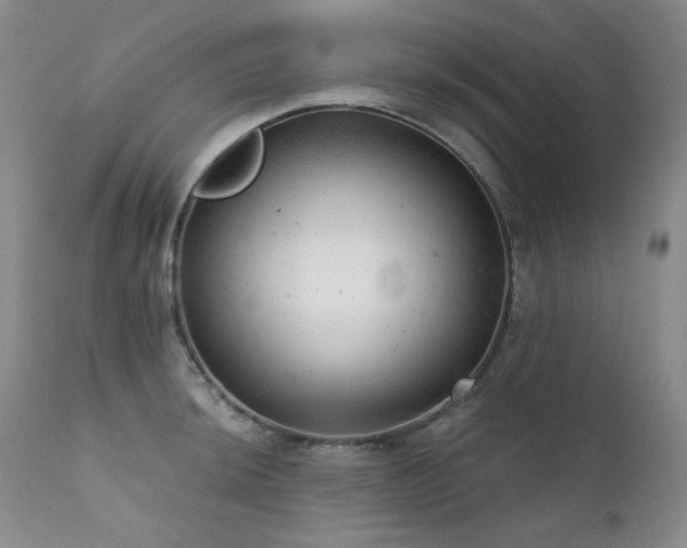 X0000111941044200907271409