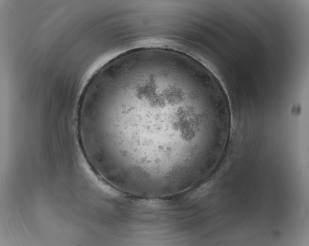 X0000111941045200907271409