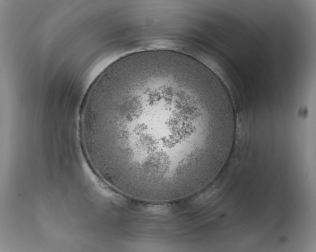 X0000111941047200907271409