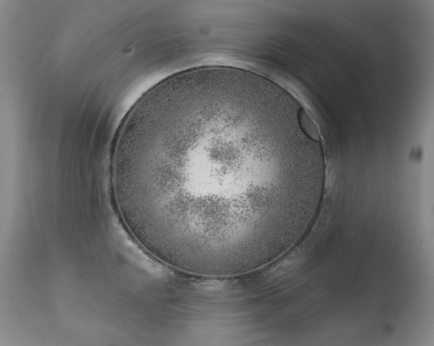 X0000111941048200907271409