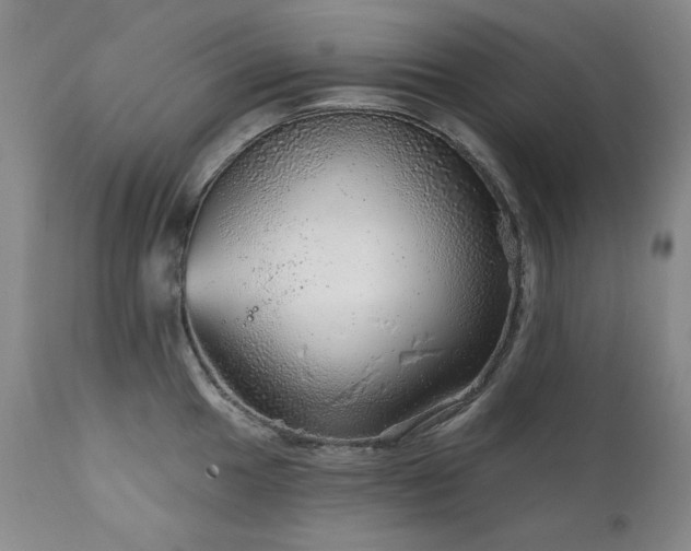 X0000111941049200907271409