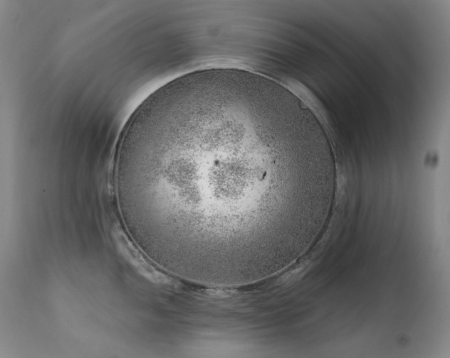 X0000111941052200907271409