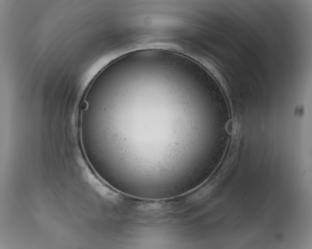 X0000111941054200907271409