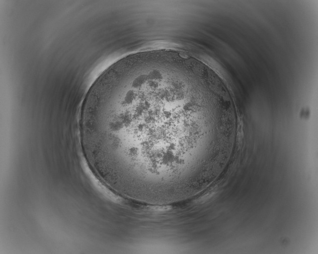 X0000111941055200907271409