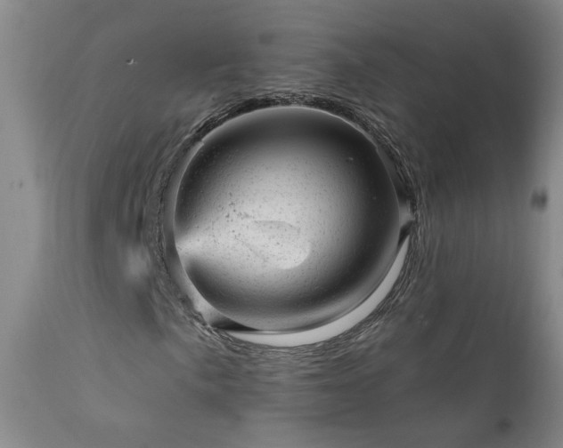 X0000111941057200907271408