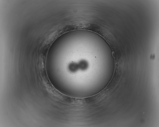 X0000111941058200907271408