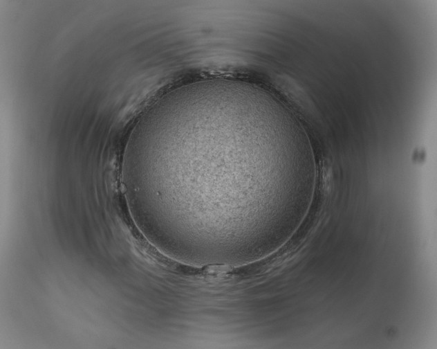 X0000111941060200907271408