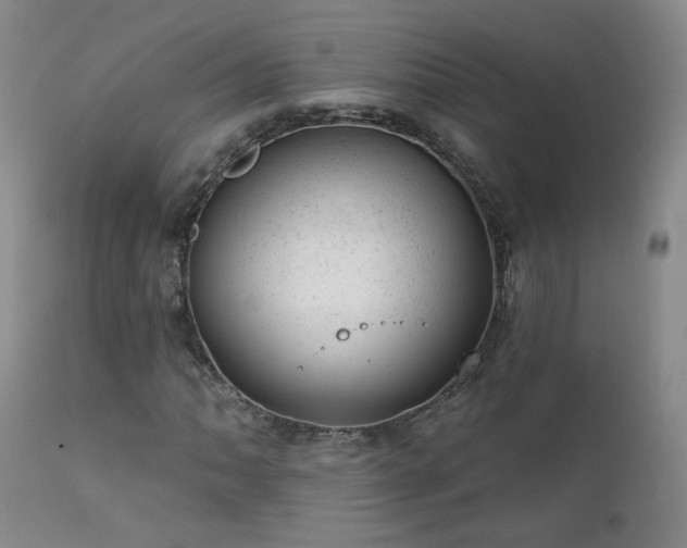 X0000111941062200907271408