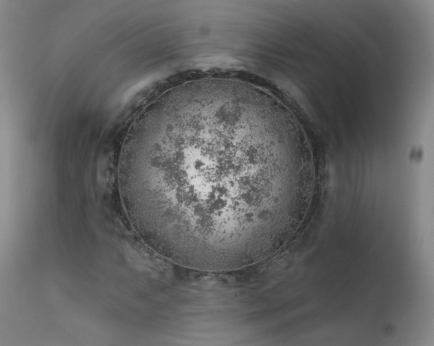 X0000111941063200907271408