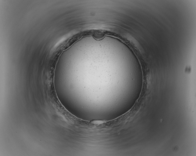 X0000111941064200907271408