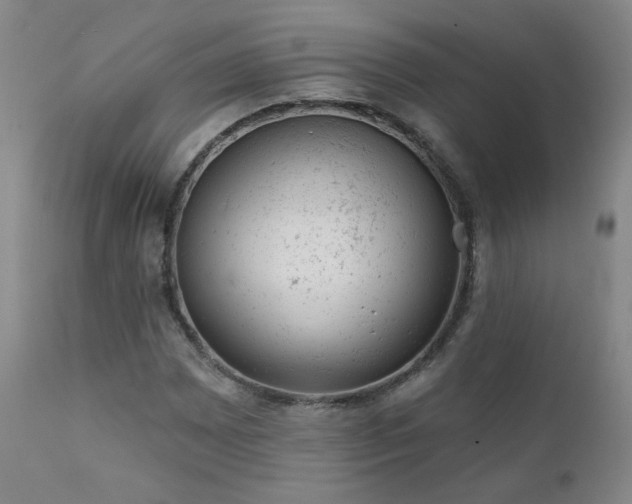 X0000111941065200907271408