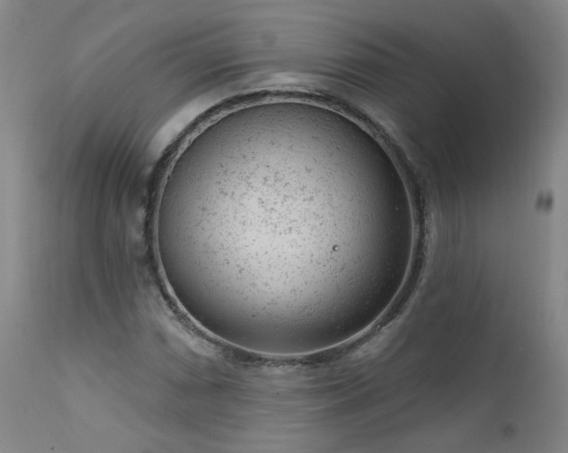 X0000111941066200907271408