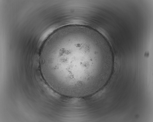 X0000111941067200907271408