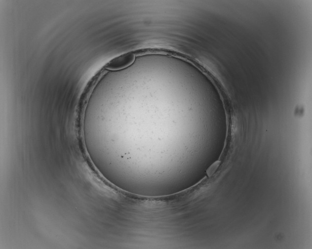 X0000111941068200907271408