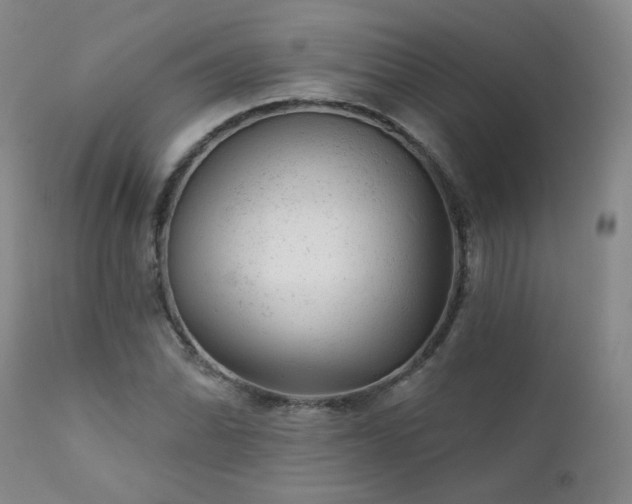 X0000111941070200907271408