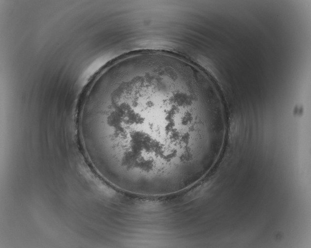 X0000111941071200907271408