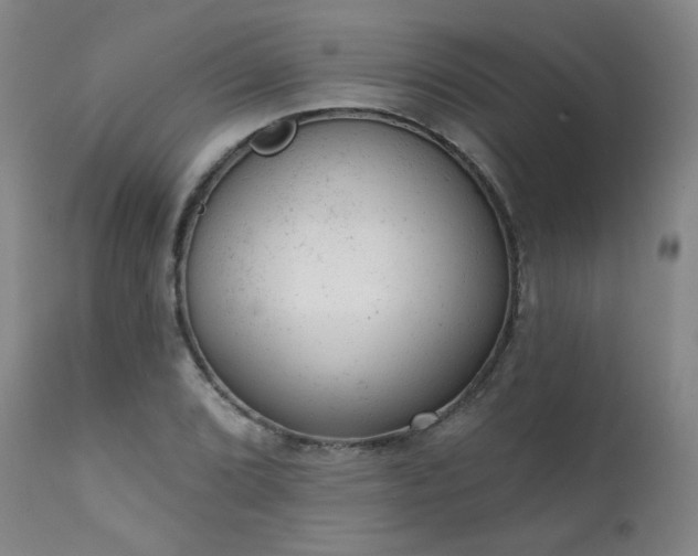 X0000111941072200907271408