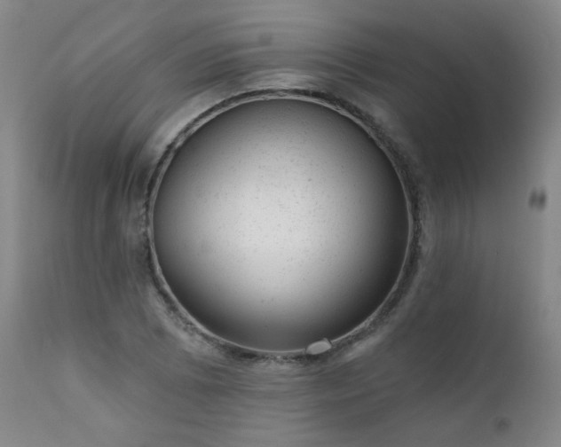 X0000111941073200907271408