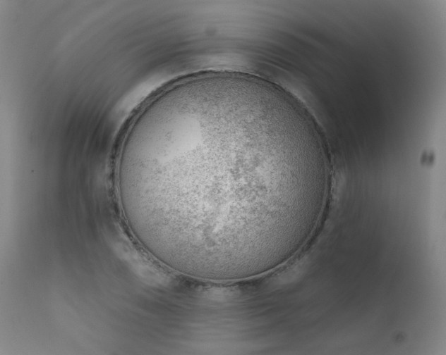 X0000111941074200907271408