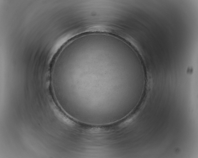 X0000111941075200907271408