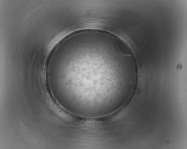 X0000111941077200907271408