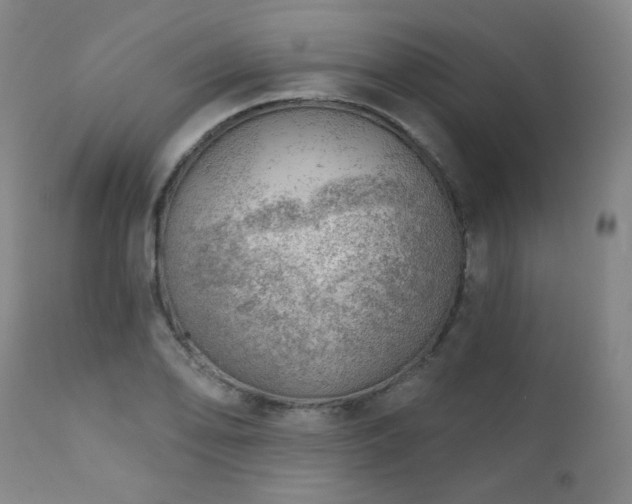 X0000111941078200907271408