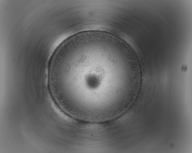 X0000111941079200907271408