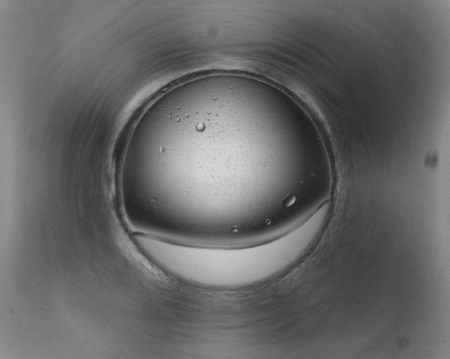 X0000111941080200907271408