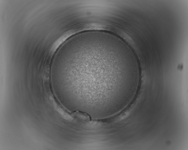 X0000111941081200907271408