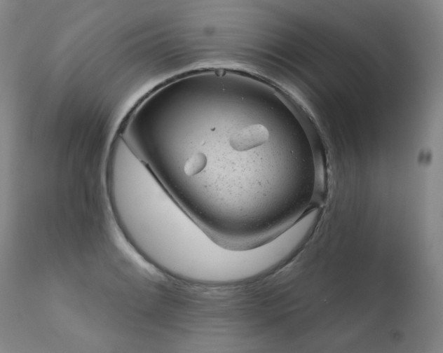 X0000111941084200907271407