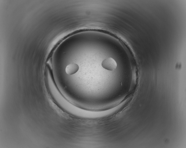 X0000111941085200907271407